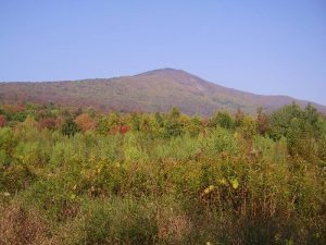 Autumn view of Mt. Greylock, from the east.