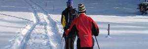 Skiing in the Berkshires cross country and downhill ski areas