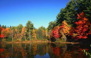 Fall foliage in the Berkshires
