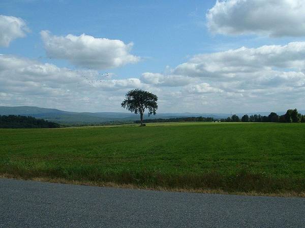 Egremont, Mass. view of Baldwin Hill; photo by Wikipedia user ToddC4176