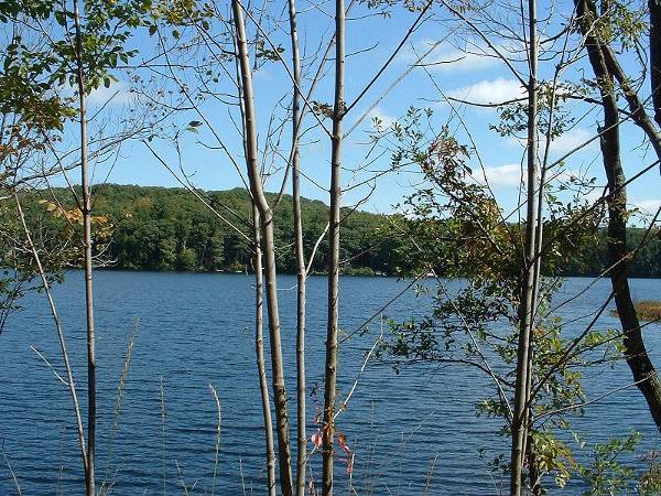 Otis, Mass. location of Benton Pond
