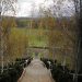 Naumkeag house and gardens, Berkshires fall foliage birch trees